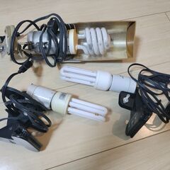 クリップライト