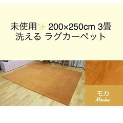 未使用★洗える低反発ラグマット カーペット 200×250 3畳