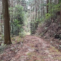 オフロード