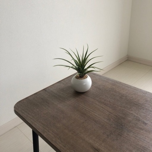 ミニマム　白陶器フェイクグリーン
