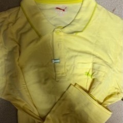 ブランドポロシャツの画像