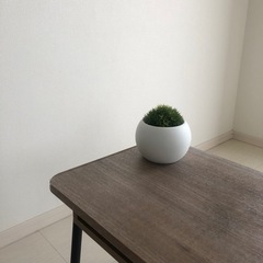 のり　フェイクプラント🌱🐈の画像