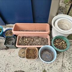 プランター、鉢、差し上げます。（3/27まで）