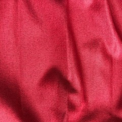 ニトリ　遮光・遮熱カーテン　レッドの画像