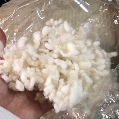 ぬいぐるみなどの綿  の画像