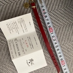 イルビゾンテのブレスレットの画像