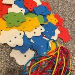 くまのひもとおしの画像