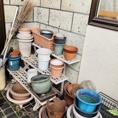 植木鉢　差し上げます🌼の画像