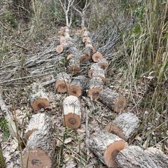 薪　クヌギ　ナラの画像