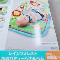 動作確認済 クリーニング済 付属品全て完備 美品プレイジム 即日お取引可の画像