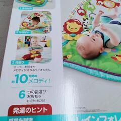 動作確認済 クリーニング済 付属品全て完備 美品プレイジム 即日お取引可の画像