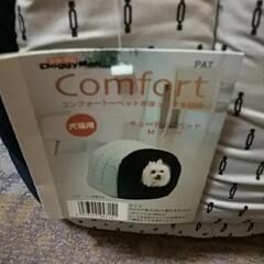 値下げいたしました！【新品】ドギーマン 説明書タグ付き 犬猫用キューティーベッドMグレーの画像