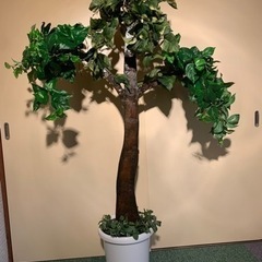 観葉植物の模型(演劇用小道具)