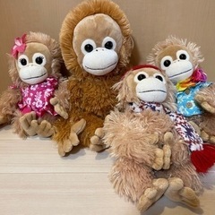 ベイビーココ&ナツセット★