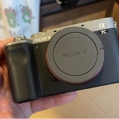 フルサイズミラーレスカメラ　買い替えにつきセット販売