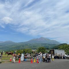 高千穂牧場内での乗馬コーナーでお仕事の画像