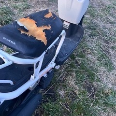 ＨＯＮＤＡ　ズーマー50 の画像