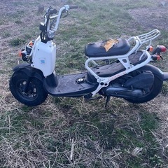 ＨＯＮＤＡ　ズーマー50 の画像