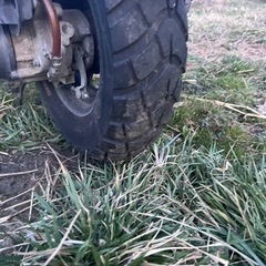 ＨＯＮＤＡ　ズーマー50 の画像