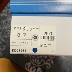 体育館シューズの画像