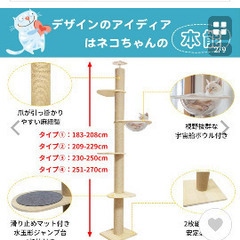 キャットタワーの画像