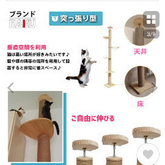 キャットタワーの画像