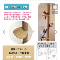 キャットタワーの画像