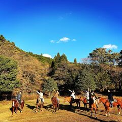 国立公園霧島山で馬と一緒に仕事してみませんか？観光乗馬牧場（ホースガイド）の画像