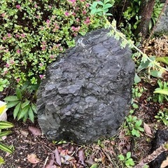 庭石
