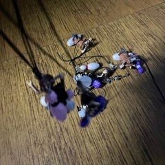 round1のの画像