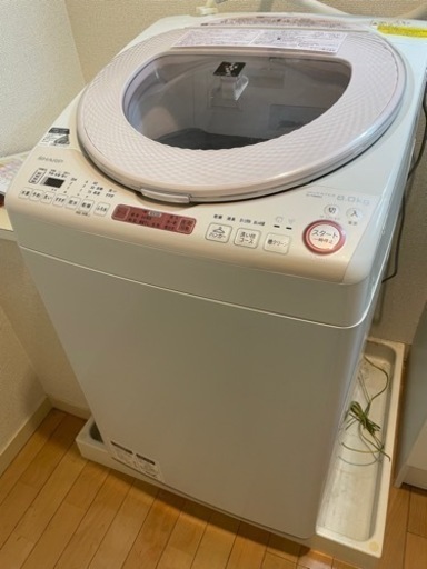 SHARP 8kg洗濯機（2016年製）