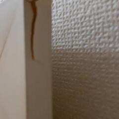 全身鏡　姿見　の画像