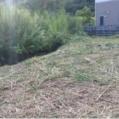 草刈り、草処分まで引き受けます！少量でも広くてもOK！ − 鹿児島県
