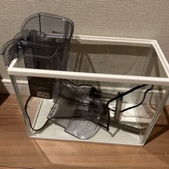 試用期間短い水槽です、綺麗ですよ〜