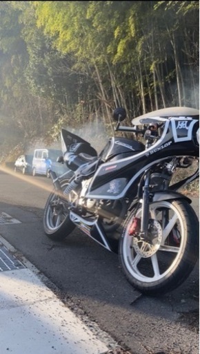 NS1 フルカスタム 中型＆大型交換希望（ネイキッド＆フルカウル）