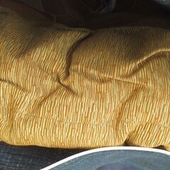 ☆無料☆地元のみ発送不可☆座布団５枚セット　カバーに入れています☆の画像