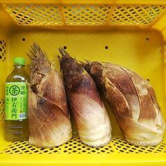 たけのこ😋値下げしました‼️