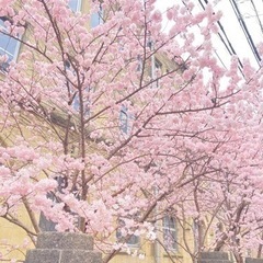 【カッコ良い写真/思い出の写真/商品写真】プロカメラマンが承ります