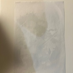 鬼滅の刃　禰󠄀豆子　炭治郎　鉛筆手描きの画像