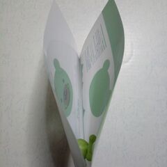 新品未使用　マスクケース　マルチケースの画像