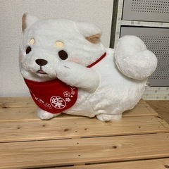 忠犬もちしば😊