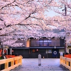 もう春ですね✨4/2少人数でお花見🌸