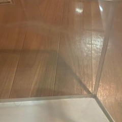 水槽の画像