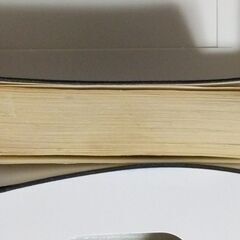 ミニ　辞書　字引の画像