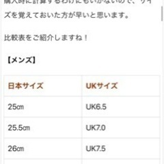 ローラブレード（ROCES）日本サイズ26.5cmの画像