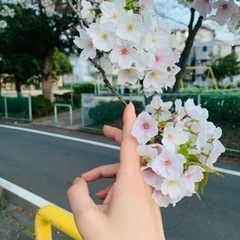 東京都多摩市の中国語教室～Z&W中国語教室の画像