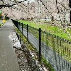 東京都多摩市の中国語教室～Z&W中国語教室の画像