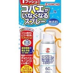 26日掲載終了　コバエがいなくなるスプレー60回