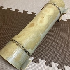 竹プランターの画像
