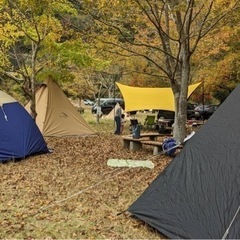 🔥焚き火　⛺️キャンプ　面白そうなイベントなども